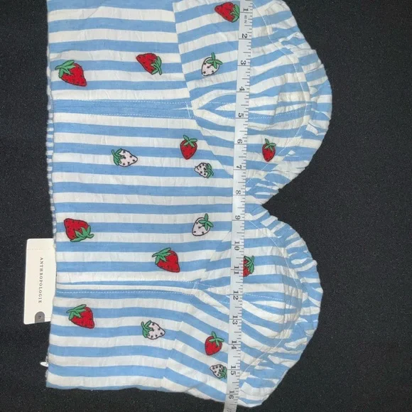 Anthropologie Blue and White Ruffled Bustier Crop Top - Picture 12 of 12